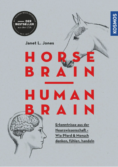 Horse Brain -Human Brain